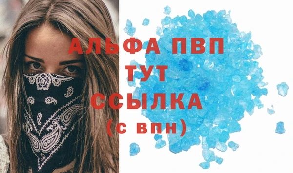 спиды Аркадак