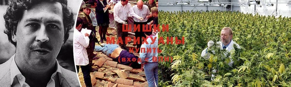 марки lsd Армянск