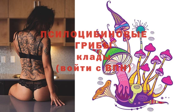 MDMA Premium VHQ Алзамай