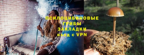 мескалин Арсеньев