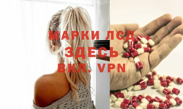 спиды Аркадак