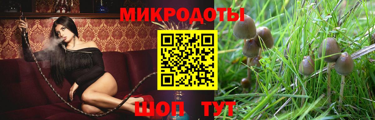 где продают   Галлюциногенные грибы мухоморы  Вход с VPN  Тулун 