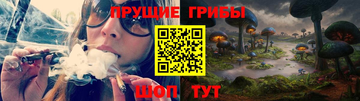 Галлюциногенные грибы Psilocybe Тулун