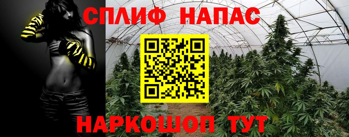 Шишки марихуана план  Вход с VPN  Конопля планчик  Тулун  Конопля семена 